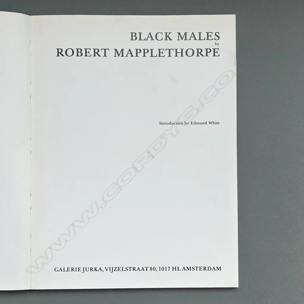 ROBERT MAPPLETHORPE: BLACK MALES Image 1++